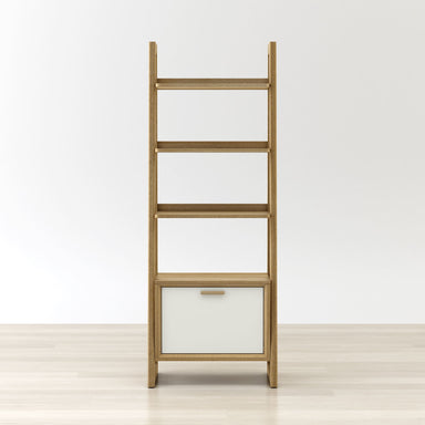 Anderson teak book shelves with ladder - front view